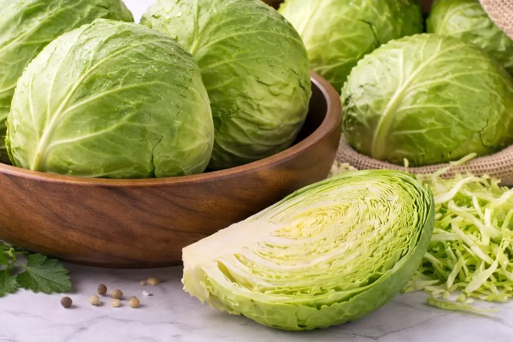 Cabbage Vegitables